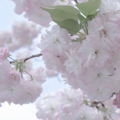 株洲FurryQQ群介绍